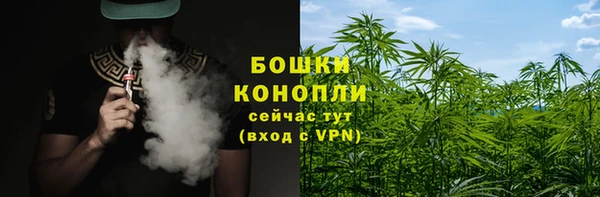 ECSTASY Горняк