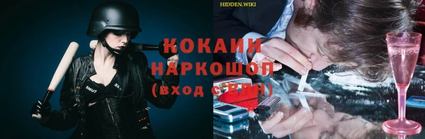 ECSTASY Горняк