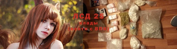2c-b Пересвет