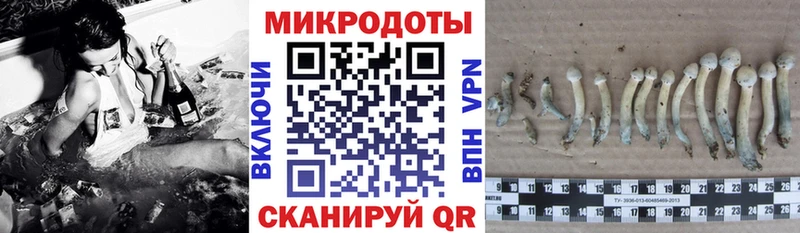 Псилоцибиновые грибы прущие грибы  Кяхта 